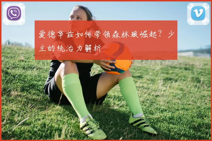 爱德华兹如何带领森林狼崛起？少主的统治力解析